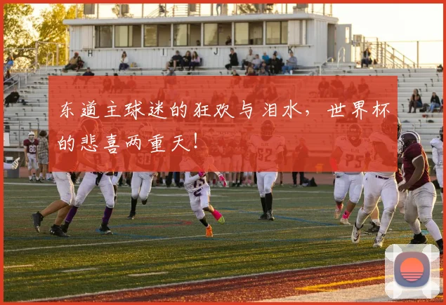 东道主球迷的狂欢与泪水，世界杯的悲喜两重天！
